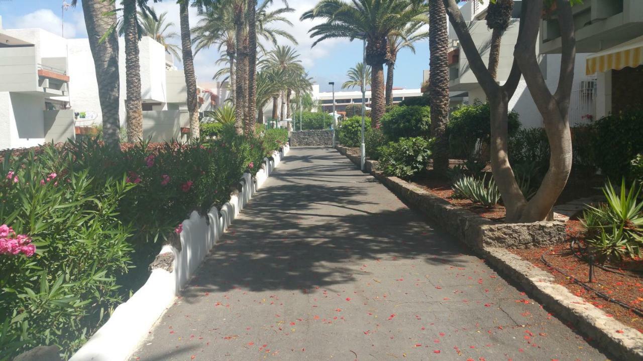 Residencial Primavera Costa Del Silencio Εξωτερικό φωτογραφία